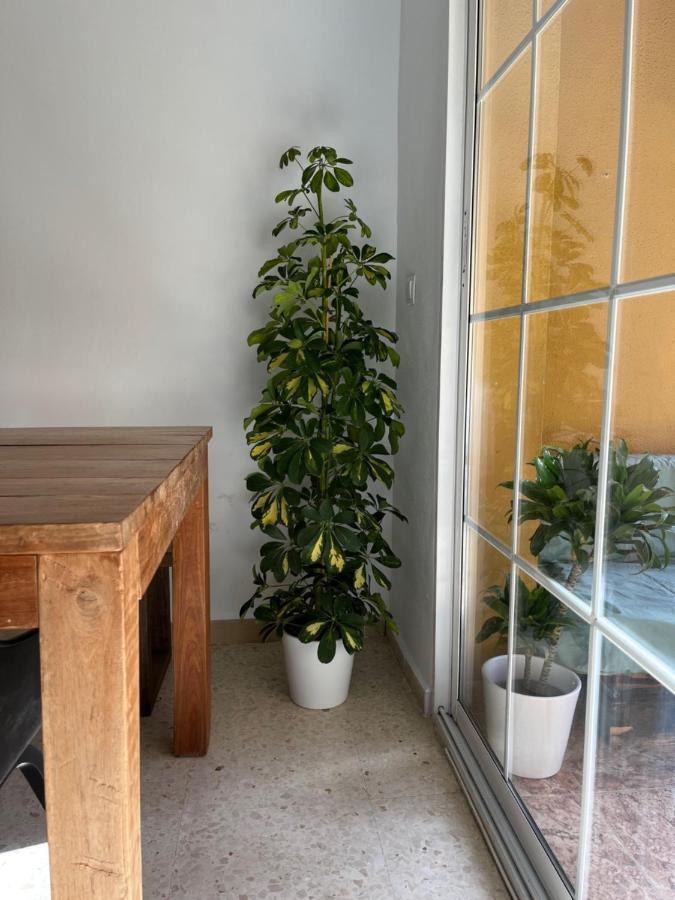 La Biznaga Appartement Málaga
